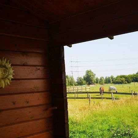Ruime Romantische Blokhut Zwaanshoek Exteriör bild