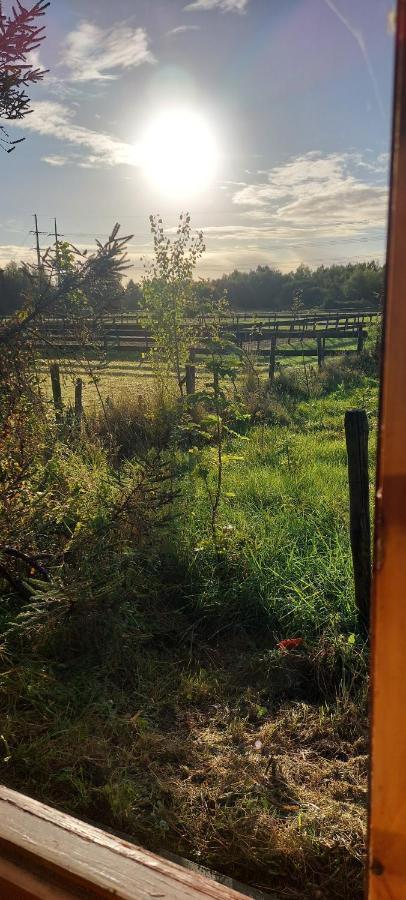 Ruime Romantische Blokhut Zwaanshoek Exteriör bild